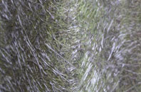 Pardshaw Hall fibreglass roof work